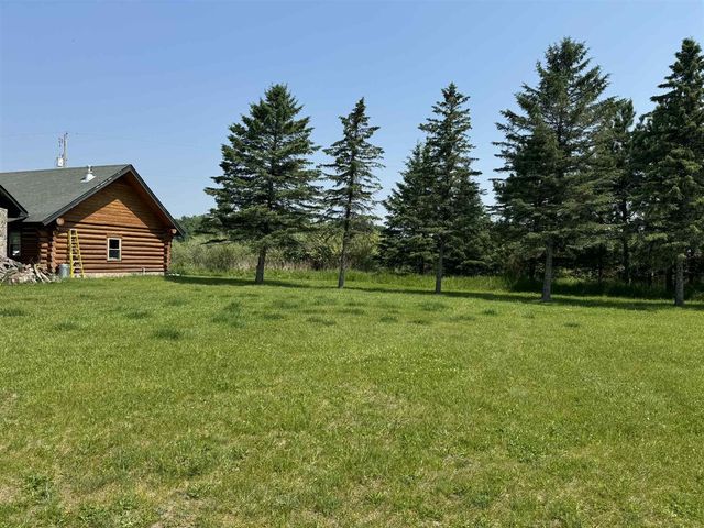 6294 100th Avenue, Evart, MI 49631
