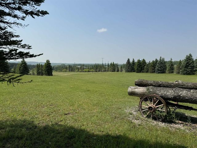 6294 100th Avenue, Evart, MI 49631