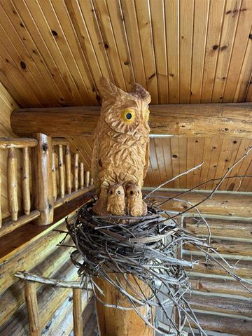 6294 100th Avenue, Evart, MI 49631