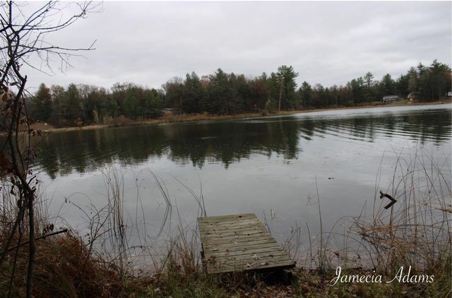 01 S Paris, Idlewild, MI 49642