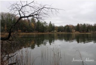 01 S Paris, Idlewild, MI 49642