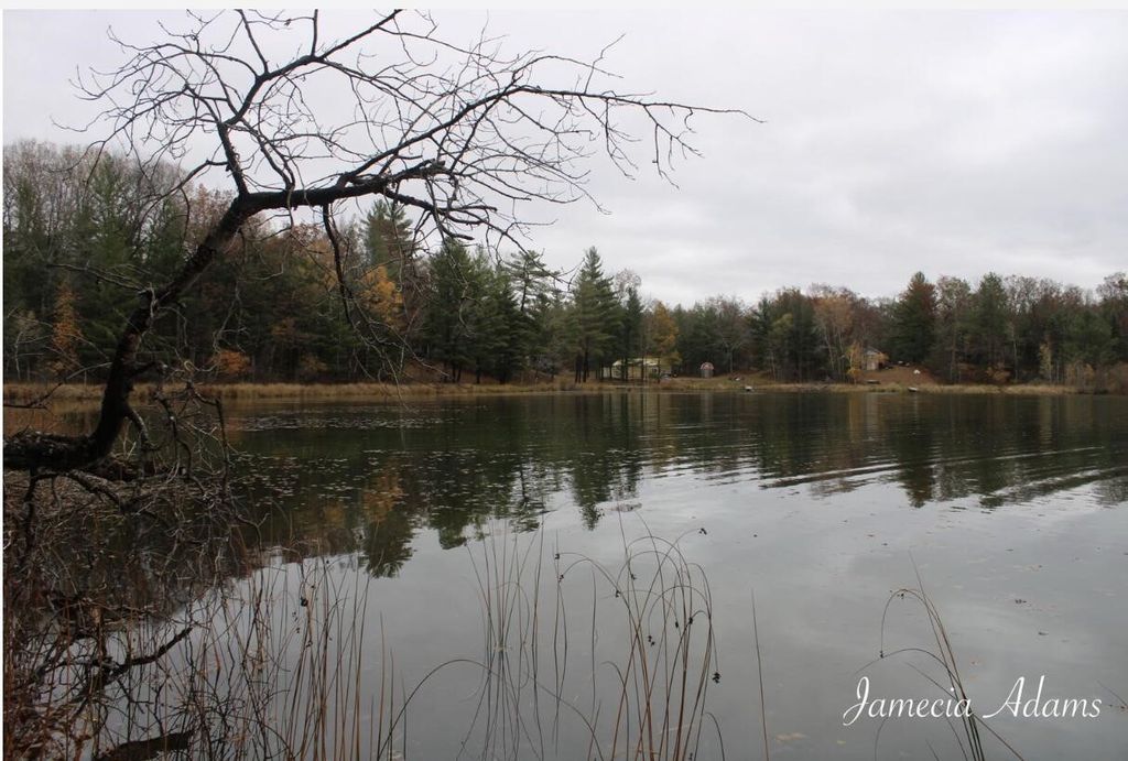 01 S Paris, Idlewild, MI 49642