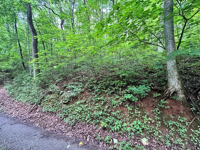 Lot 19 Burnt Leaf, Hayesville, NC 28904