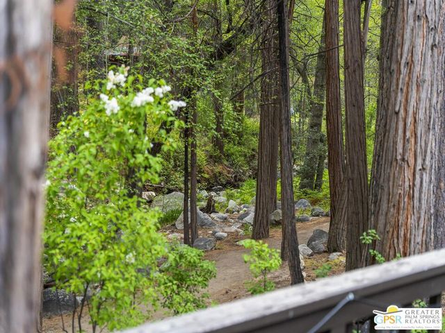 26220 Pine Dell Road, Idyllwild, CA 92549