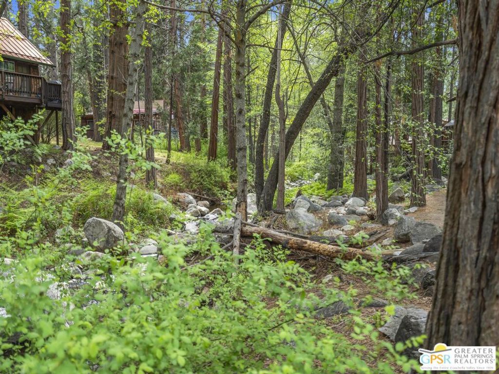 Image 38 of property listing at 26220 Pine Dell Road, Idyllwild, CA 92549