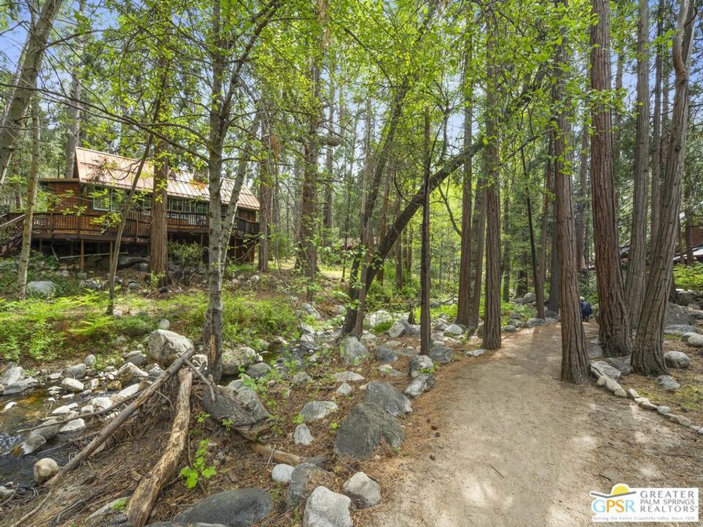 Image 39 of property listing at 26220 Pine Dell Road, Idyllwild, CA 92549