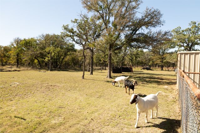 970 Live Oak Road, Santo, TX 76472