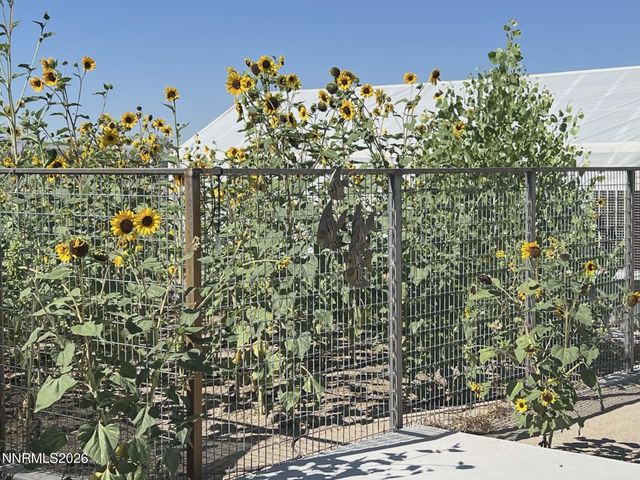 1197 Skyridge Drive, Fallon, NV 89406