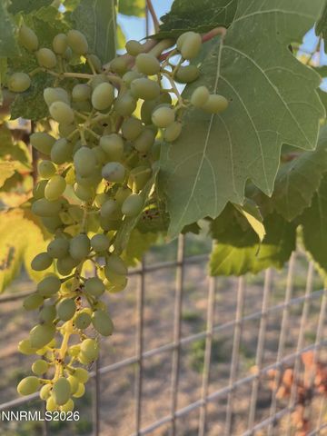 1197 Skyridge Drive, Fallon, NV 89406