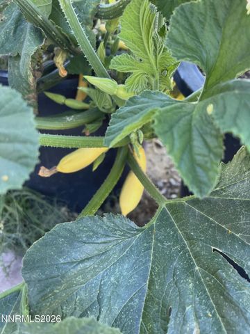 1197 Skyridge Drive, Fallon, NV 89406