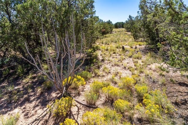 5 Campo del Viento, Santa Fe, NM 87506