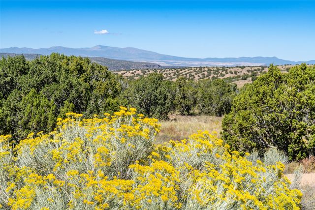 5 Campo del Viento, Santa Fe, NM 87506