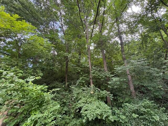 163 Dal Brown Road, Chattanooga, TN 37405