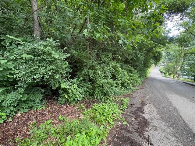 163 Dal Brown Road, Chattanooga, TN 37405