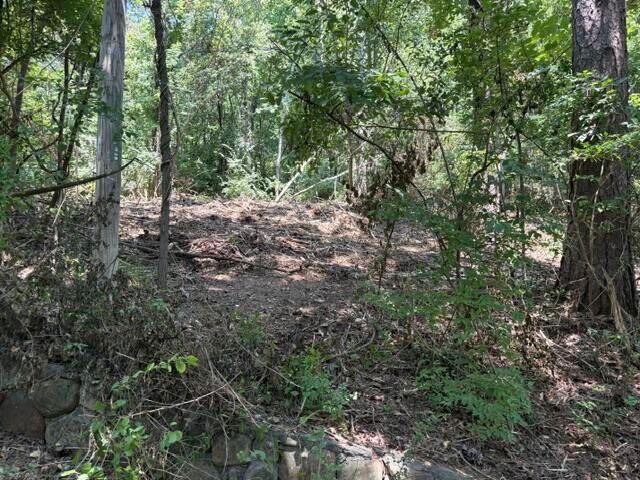 163 Dal Brown Road, Chattanooga, TN 37405