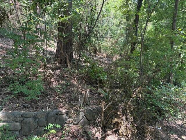163 Dal Brown Road, Chattanooga, TN 37405