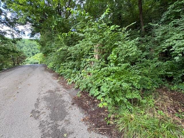163 Dal Brown Road, Chattanooga, TN 37405
