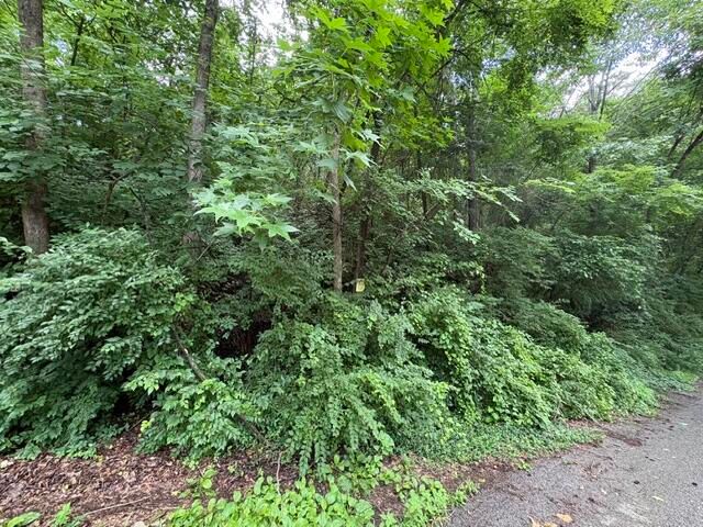 163 Dal Brown Road, Chattanooga, TN 37405