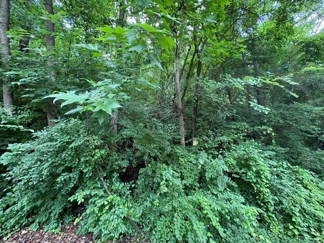 163 Dal Brown Road, Chattanooga, TN 37405