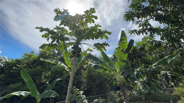 URB COLINAS DE FAIR VIEW CALLE 223 4W-18, Trujillo Alto, PR 00976