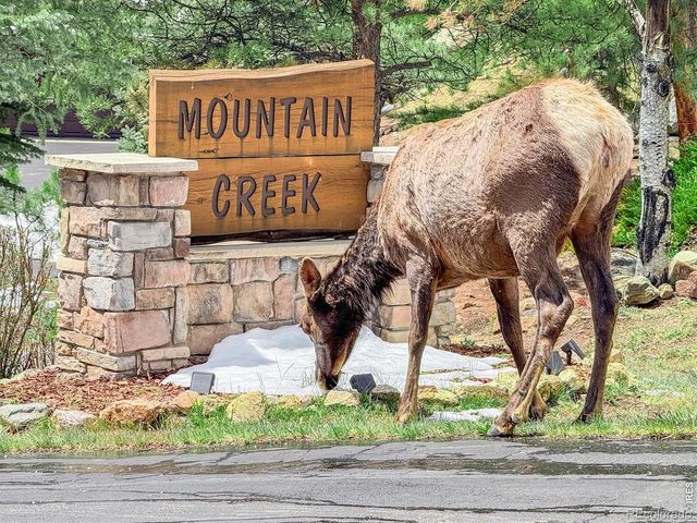262 Steamer Court, Estes Park, CO 80517