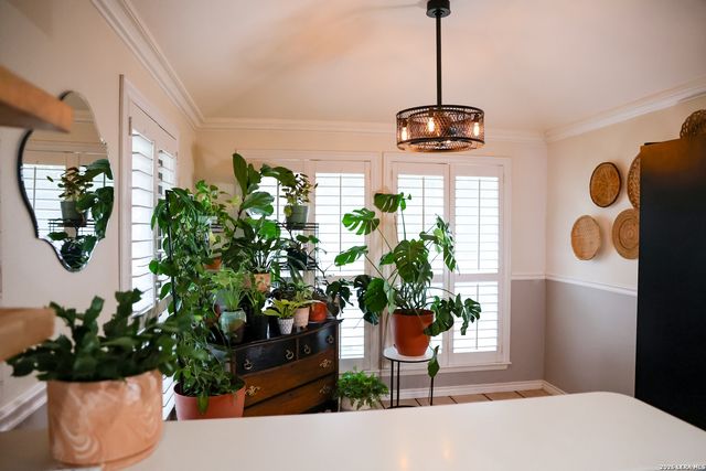 8815 E Spanish Moss, Windcrest, TX 78239