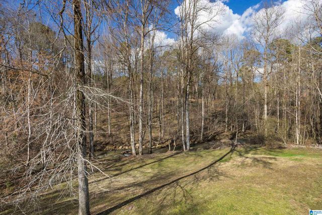 231 MAGNOLIA CIRCLE, Warrior, AL 35180