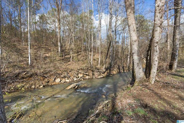 231 MAGNOLIA CIRCLE, Warrior, AL 35180