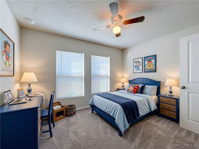 1399 W Cary Drive, Citrus Springs, FL 34434