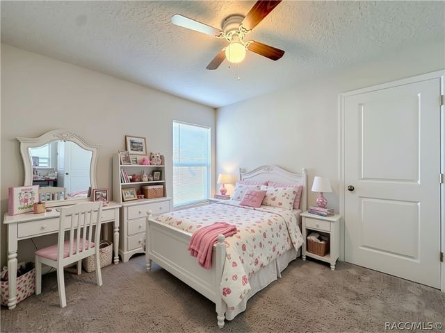 1399 W Cary Drive, Citrus Springs, FL 34434