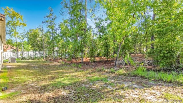 1399 W Cary Drive, Citrus Springs, FL 34434