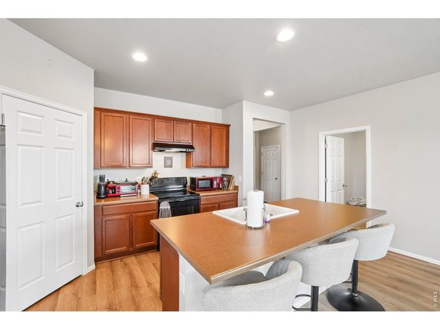 3622 Torch Lily St, Wellington, CO 80549