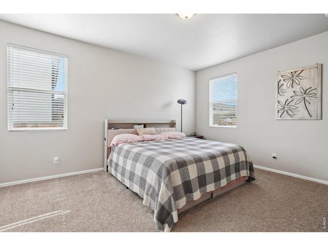 3622 Torch Lily St, Wellington, CO 80549