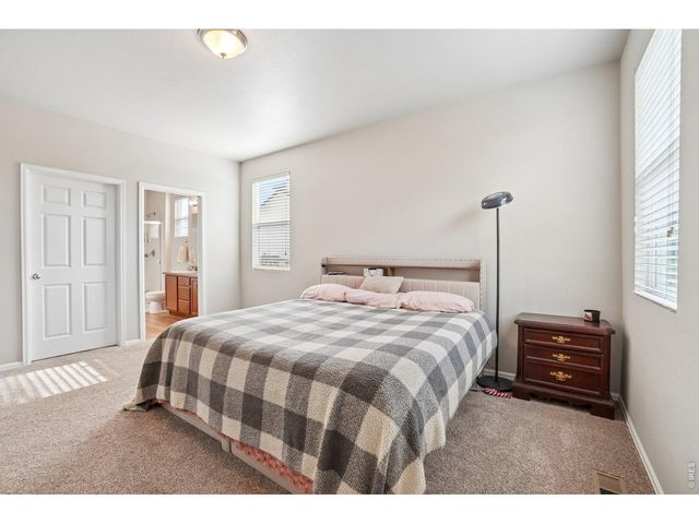 3622 Torch Lily St, Wellington, CO 80549
