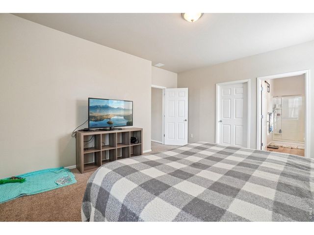 3622 Torch Lily St, Wellington, CO 80549