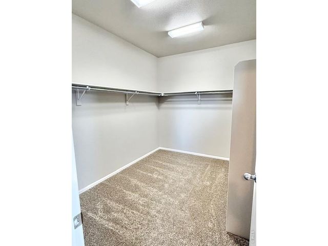 3622 Torch Lily St, Wellington, CO 80549