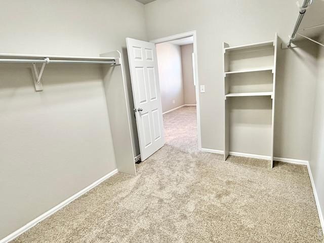 3622 Torch Lily St, Wellington, CO 80549