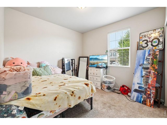 3622 Torch Lily St, Wellington, CO 80549