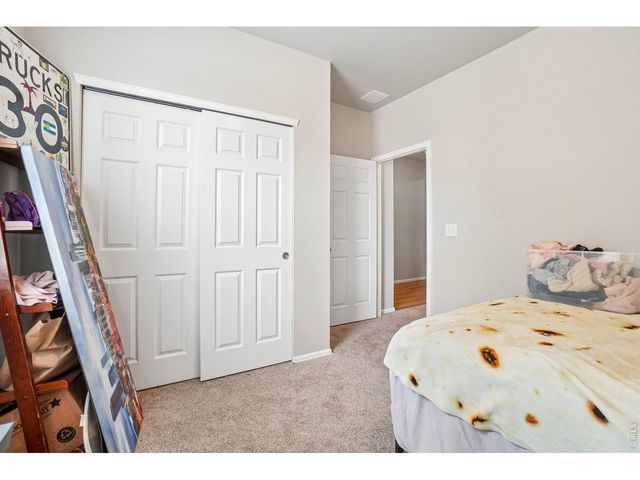 3622 Torch Lily St, Wellington, CO 80549