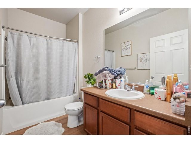 3622 Torch Lily St, Wellington, CO 80549