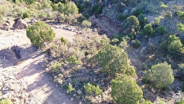 515 S OAK RIDGE CIR, Pine Valley, UT 84781