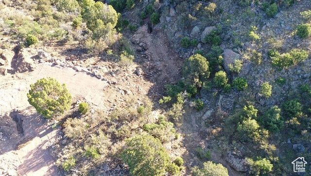 515 S OAK RIDGE CIR, Pine Valley, UT 84781