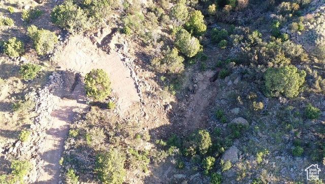 515 S OAK RIDGE CIR, Pine Valley, UT 84781