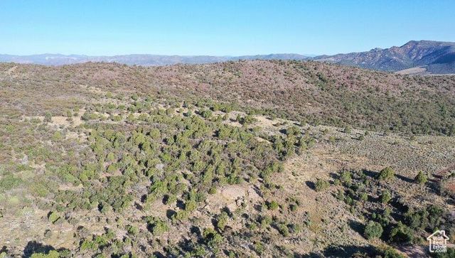 515 S OAK RIDGE CIR, Pine Valley, UT 84781