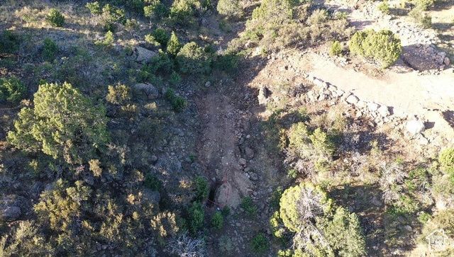 515 S OAK RIDGE CIR, Pine Valley, UT 84781