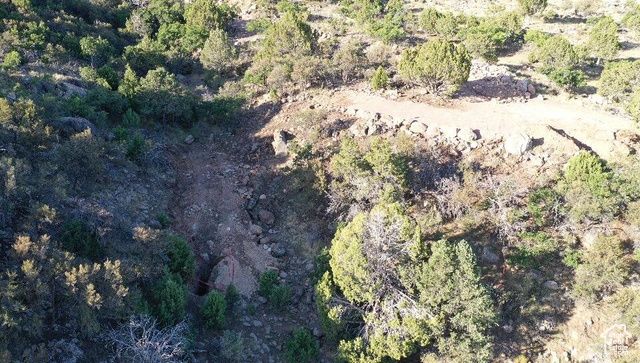 515 S OAK RIDGE CIR, Pine Valley, UT 84781