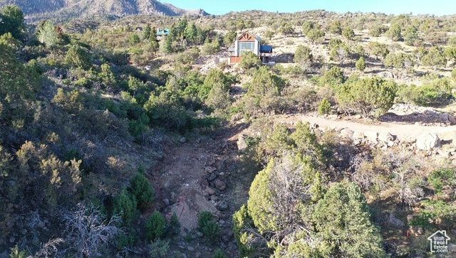 515 S OAK RIDGE CIR, Pine Valley, UT 84781