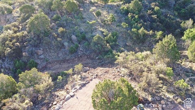 515 S OAK RIDGE CIR, Pine Valley, UT 84781