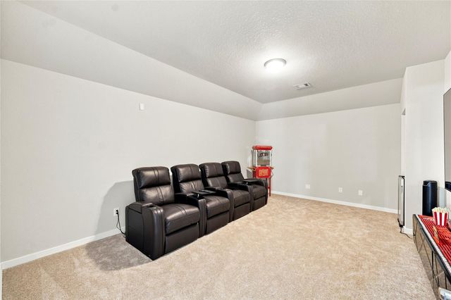 22103 Oceania Shores Drive, Hockley, TX 77447