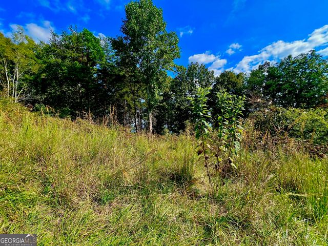 T7 Talona Mountain Road, Ellijay, GA 30536
